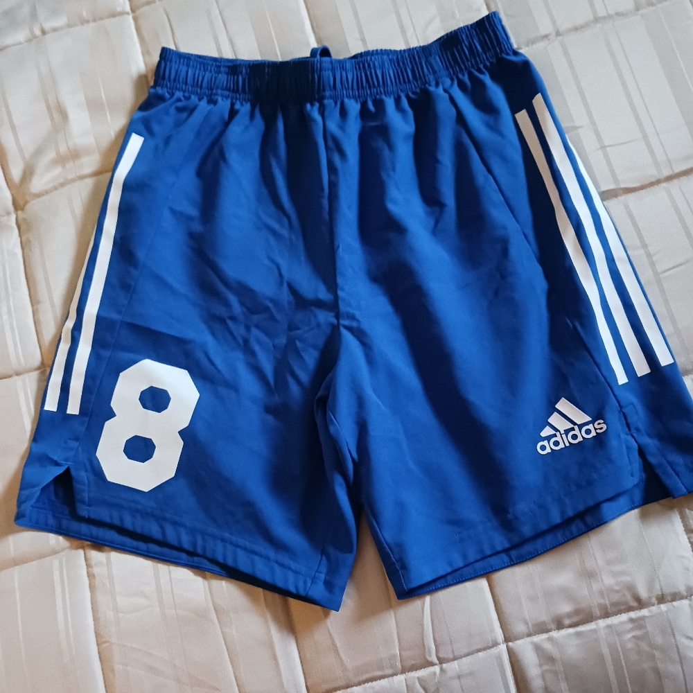 Adidas Blue and White Soccer Shorts